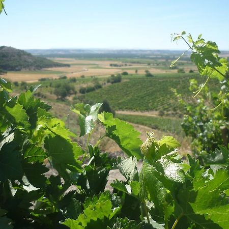 La Cantamora Hotel Rural Pesquera De Duero Eksteriør billede