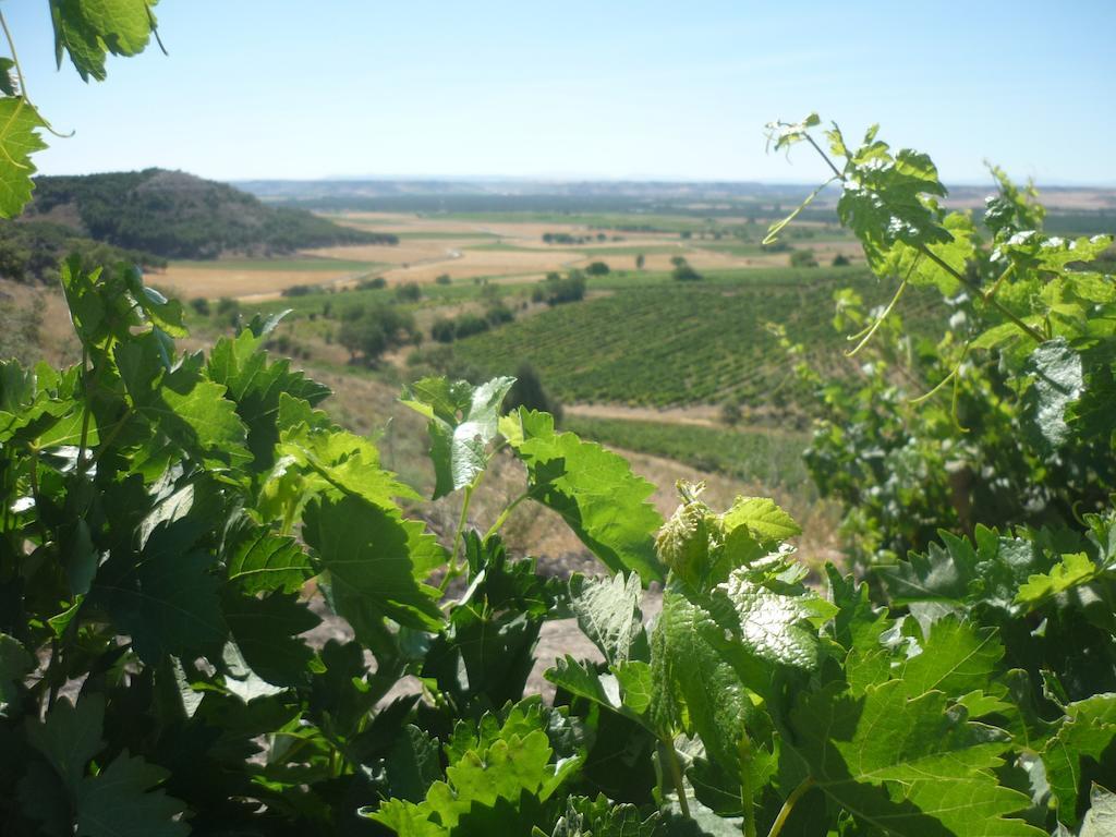 La Cantamora Hotel Rural Pesquera De Duero Eksteriør billede